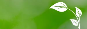 [Infographic]: 10 recycling myths you've always wanted resolving